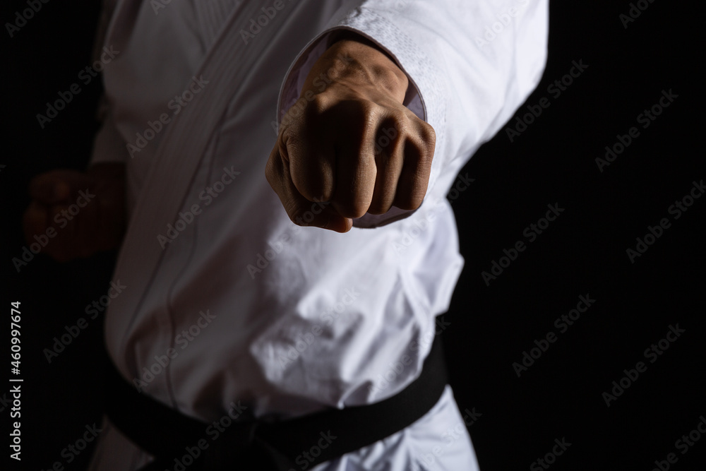 空手の正拳突き Wall Mural Karate Karate Wallpaper Murals Taa22