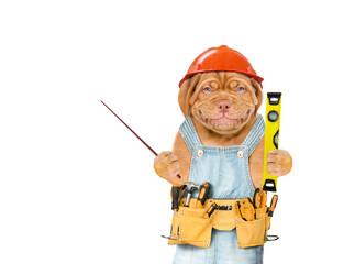 Poster - Smiling puppy worker wearing hardhat and overalls with tool belt holds spirit level and pointing away on empty space.  Isolated on white background