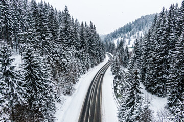 Wall Mural - car driving on asphalt road through the winter snowy forest . Drone top view of frozen winter forest. Areal view.