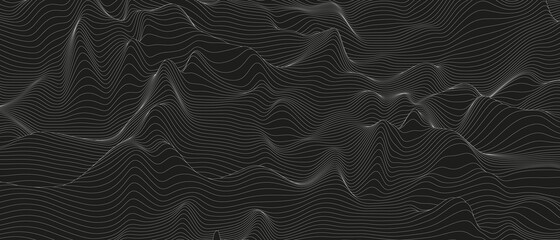 Poster - Abstract background with distorted line shapes on a black background. Monochrome sound line waves.