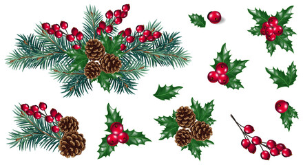 Vector Christmas decoration with pine tree branches and red berries. Christmas concept