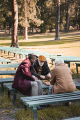 Wall Mural - Multiethnic men sitting near chess board in autumn park