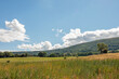 © Jenn's Photography  - Black mountains in the summertime.