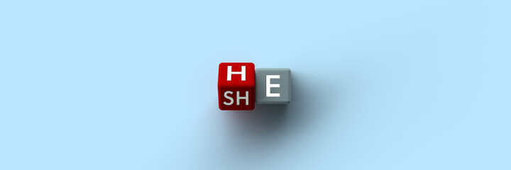 Wall Mural - 3d render cubes with changing he into she on a blue isolated background