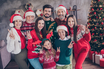 Sticker - Photo portrait big family senior little generations celebrate xmas holidays together showing v-sign