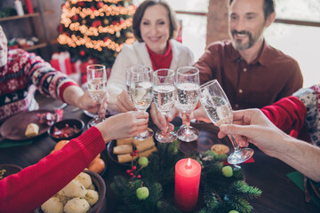 Wall Mural - Photo of retired pensioned grey hair wife husband people xmas glass clink christmas toast indoors inside house