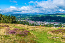 A View Of Purple Heather Clusters On Ilkley Moor Above The Town Of Ilkley Yorkshire, UK In Summertime