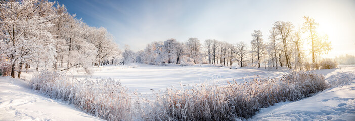 Aufkleber - Panorama of beautiful winter park