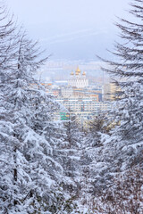 Wall Mural - Winter landscape with snow-covered trees and city. View from the forest to the cathedral and residential buildings. Snow on the branches of larch trees. Magadan, Magadan Region, Siberia, Russia.