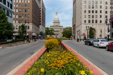 Michigan State Capitol