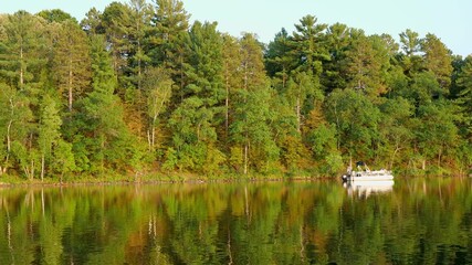 Wall Mural - Beautiful natural forest lakeshore in northern Minnesota and pontoon on a sunny afternoon. Handheld clip from a moving boat.