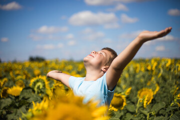 Happy child field Freedom and happiness concept on sunflower outdoor. Kid having fun in green spring field against blue sky background. Healthy and active lifestyle concept