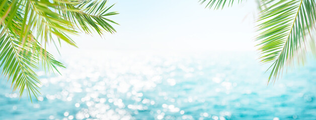 Aufkleber - Summer tropical sea and palm leaves