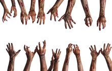 Many Hands Of Scary Zombies On White Background