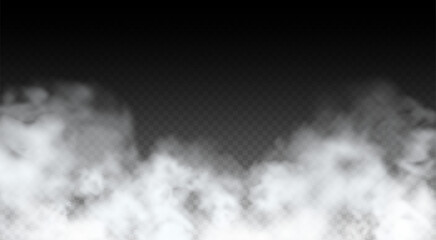 Wall Mural - vector abstract realistic fog cloud design element