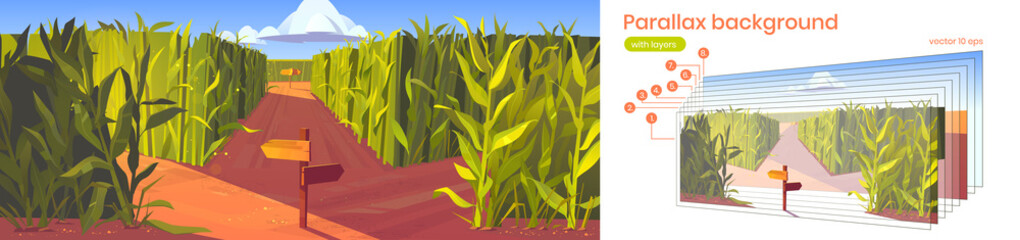 Parallax background cornfield with wooden road pointers and high green plant stems. Cartoon scenery nature 2d landscape with separated layers for game scene. Labyrinth, maze scene Vector illustration