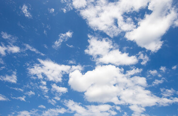 Wall Mural - blue sky and clouds