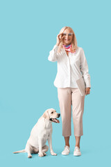 Poster - Mature woman with laptop and cute Labrador dog on blue background