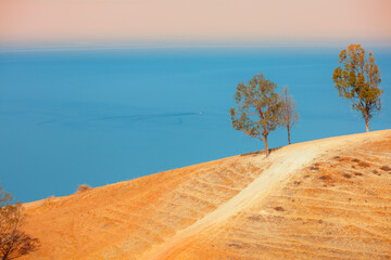 Fototapete - Steep coast with trees of the sea of Galilee. Beautiful nature of Northern Israel. Galilee Sea in autumn