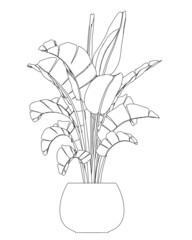Poster - Contour of home flower in a pot of black lines isolated on white background. Vector illustration