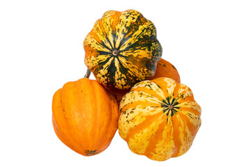 Pile of pumpkins. Close-up of a stack decorative colorful pumpkins isolated on a white background. Space for design. Macro.