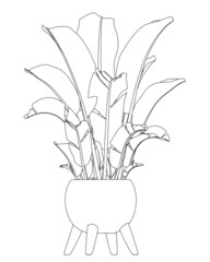 Poster - Contour of home flower in a pot of black lines isolated on white background. Vector illustration