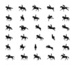 Set of vector silhouettes on the theme of equestrian sport, dressage, show jumping, eventing, horse racing