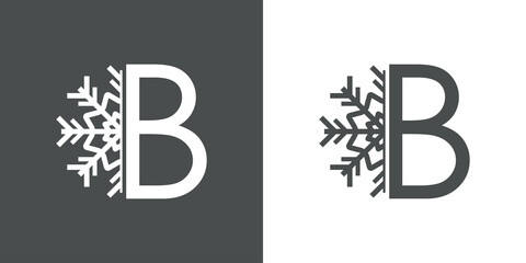 Logotipo letra B con silueta de copo de nieve en fondo gris y fondo blanco