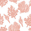 Coral reefs seamless pattern on a white background. Vector background.