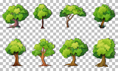 Wall Mural - set of variety trees on transparent background