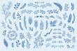 Vector Collection Hand Drawn design elements.