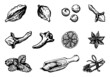 a set of spices for mulled wine, vector illustration sketch