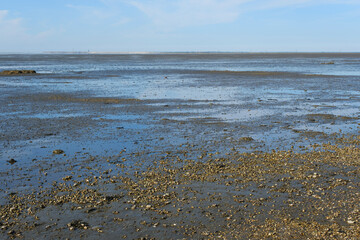 Sticker - Ebbe im Nationalpark Niedersächsisches Wattenmeer, Ostfriesland, Niedersachsen, Deutschland, Europa