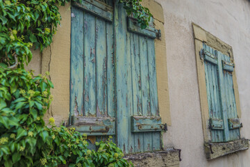 Poster - Old wooden window closed shutters on the wall overgrown with dense leaves