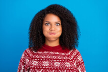 Photo Of Funny Childish Lady Wear Print Pullover Bloated Cheeks Smiling Isolated Blue Color Background