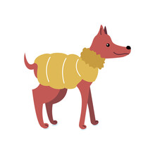 Brown Dog In A Trendy Orange Winter Down Jacket. The Puppy In Profile Is Standing Or Walking. The Pet Is Smiling And Cute. Simple Vector Illustration In Flat Style Isolated On White Background.