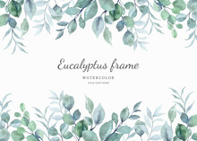 Watercolor Eucalyptus Leaf Frame Background