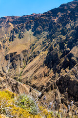 Canvas Print - Scenery of the Colca Canyon in Peru