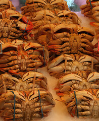 Sticker - Vertical shot of crabs on the counter in pike place market