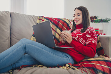 Poster - Profile side photo of young lady drink hot latte caffeine watch movie laptop winter holiday sit couch indoors