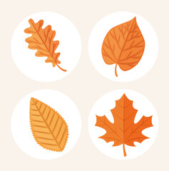 Canvas Print - set of autumn leaves