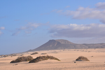 Wall Mural - Texture Sand Dune Desert