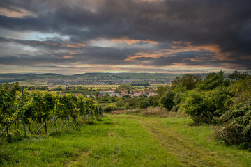 village in czech republic at sunset, grape field at sunset grape field, south moravia, czech landscape, vines field ready for harvest, restless picturesque sky