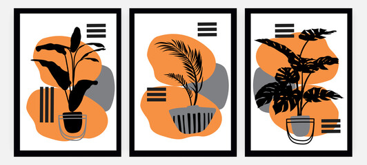 Wall Mural - collection of minimalistic art. simple posters with organic plants, contrasting spots and frames. pi