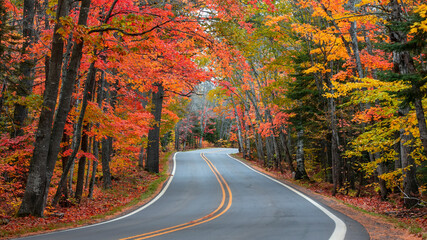 Sticker - Tunnel of trees in autumn time along scenic byway M41 in Keweenaw peninsula in Michigan upper peninsula