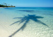 © SuperStock - Shadows of palm tree on tropical water on coastline of Island