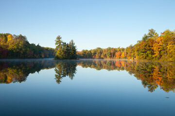 Wall Mural - beautiful lake with trees in autumn color and a small island in northern minnesota on a calm clear m
