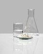 Close up chemical ingredient on white laboratory table. Calcium carbonate Chip in Chemical Watch Glass place next to beaker with alcohol and Erlenmeyer flask. Side View