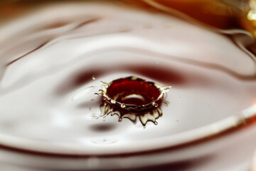 Wall Mural - Droplet of coffee drink