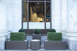 Big gray, metal planters with foliage plants and terrace design